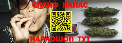 скорость Заволжье