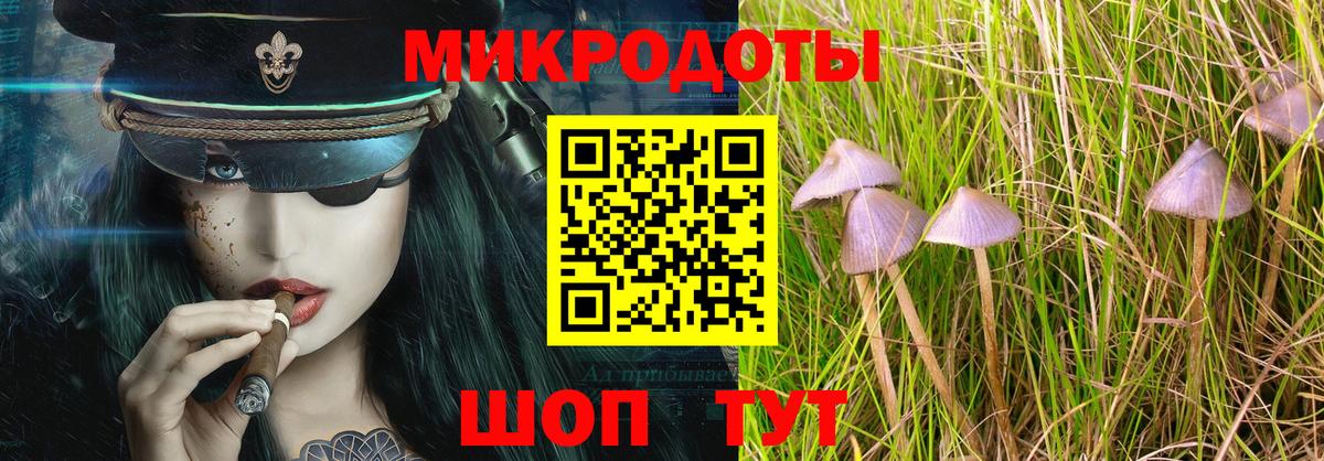 Галлюциногенные грибы Psilocybe Ливны